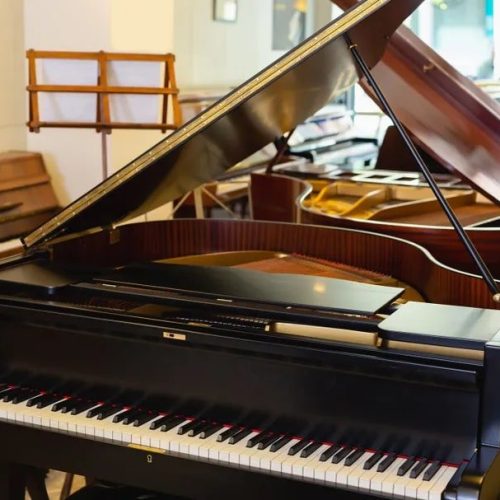 PIANOFORTI-OLDANI-Novara-029-908w
