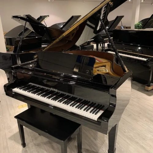 PIANOFORTI-OLDANI-Novara-030-908w