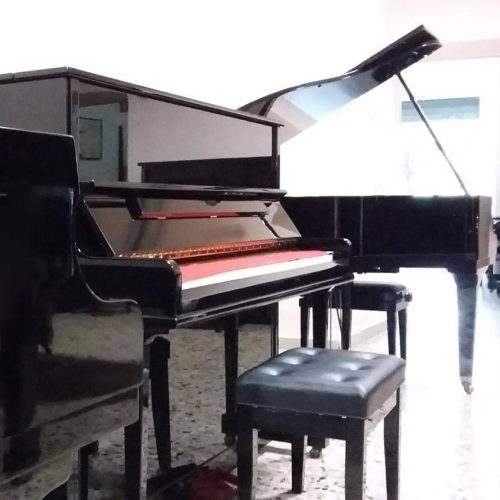 PIANOFORTI-OLDANI-Novara-031-908w